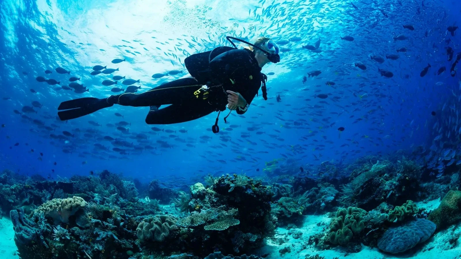 Scuba diver above coral reef