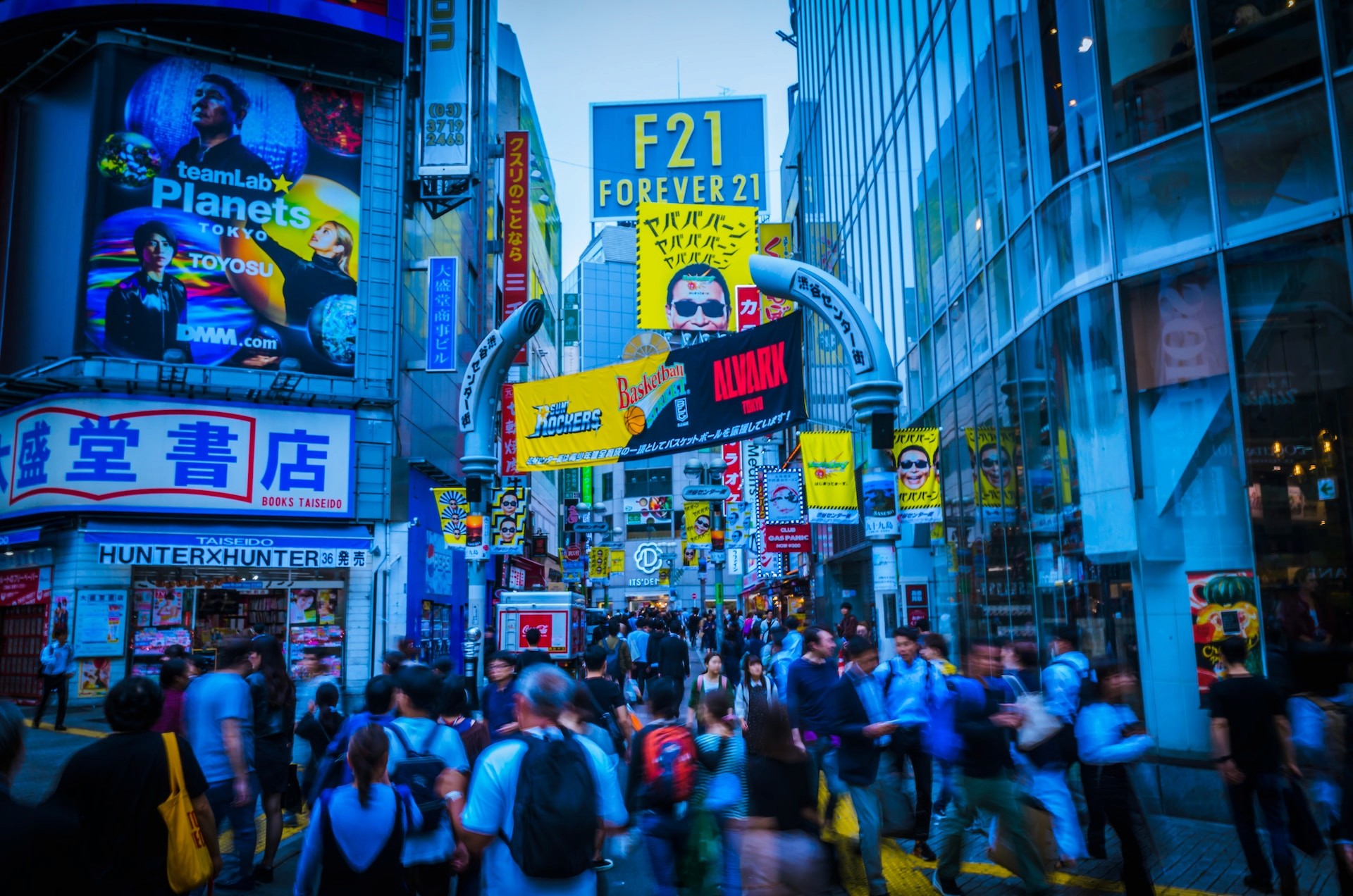 Latin Characters and Japanese Websites