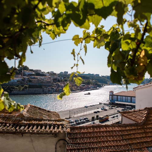 A Casa do Fado - Sao Joao Novo tickets in Porto