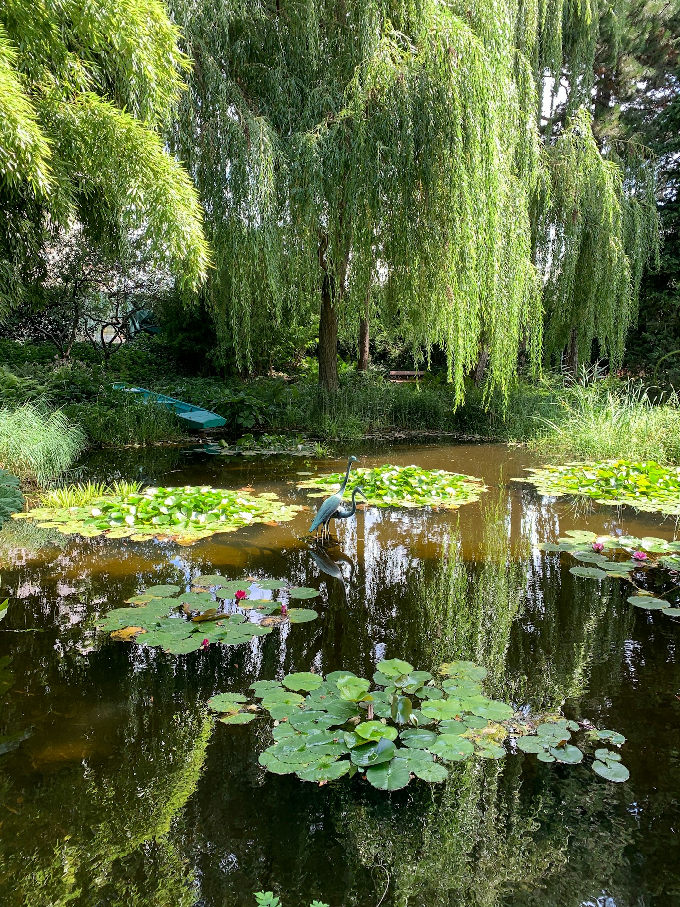 Pond surrounded by trees