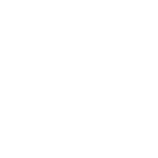 Vision icon