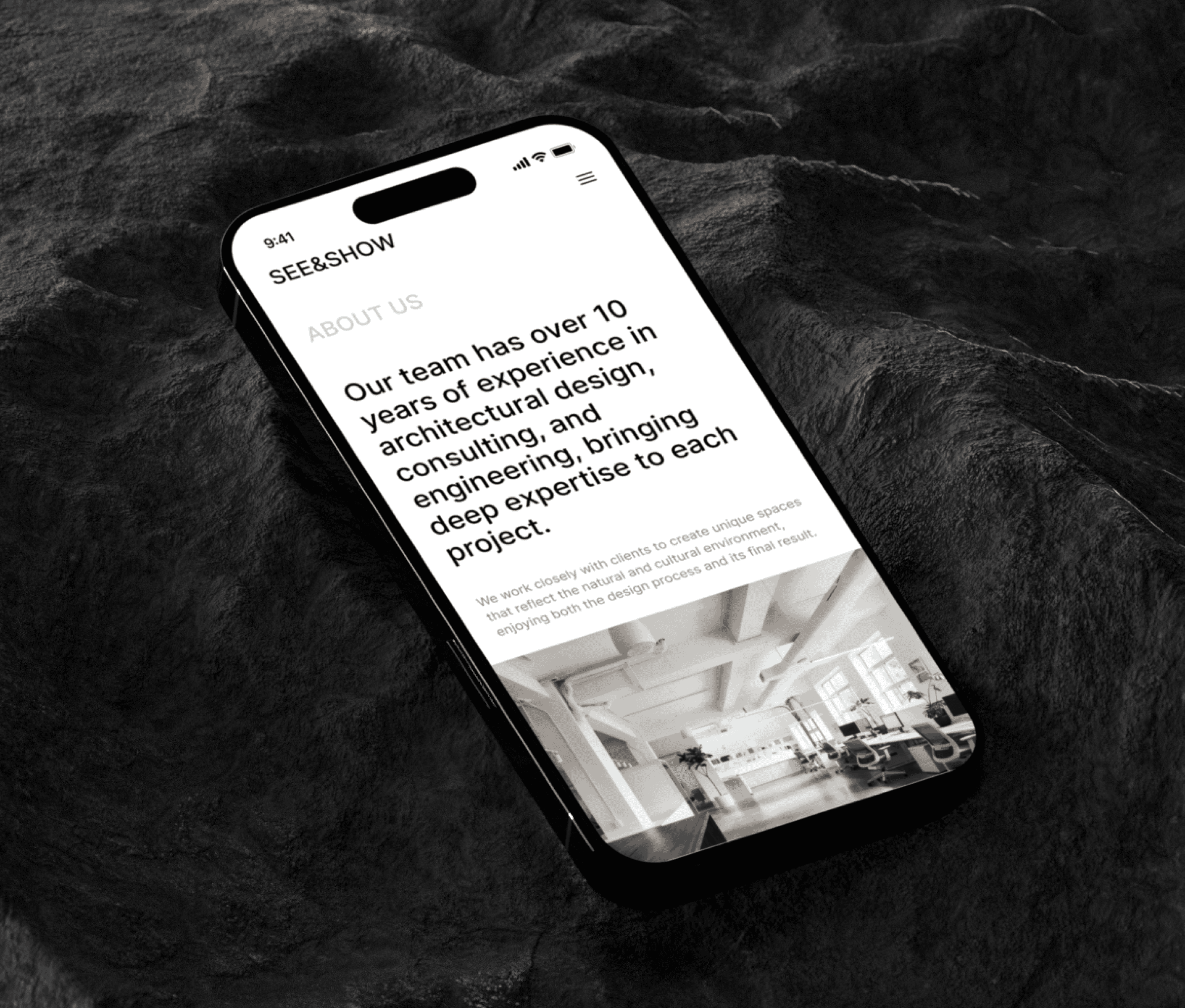 Large Project Gallery Image #3