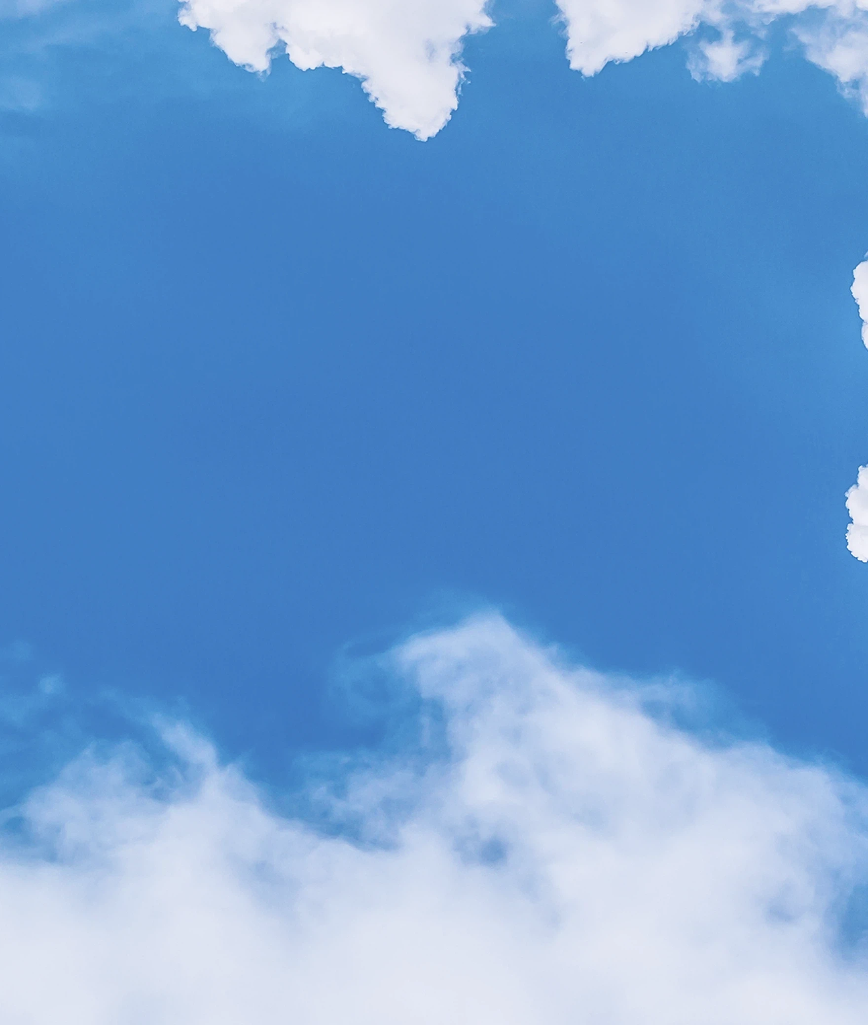 shushik liven portfolio case background