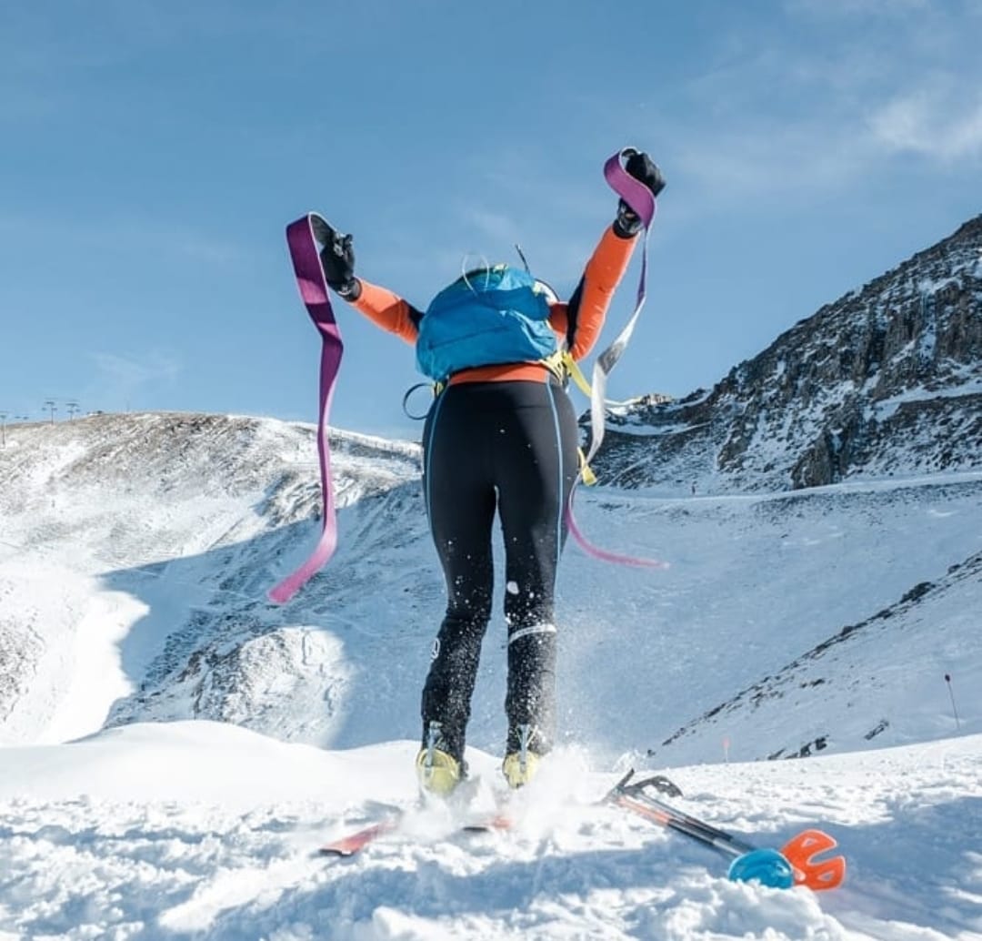 A grid of website sections