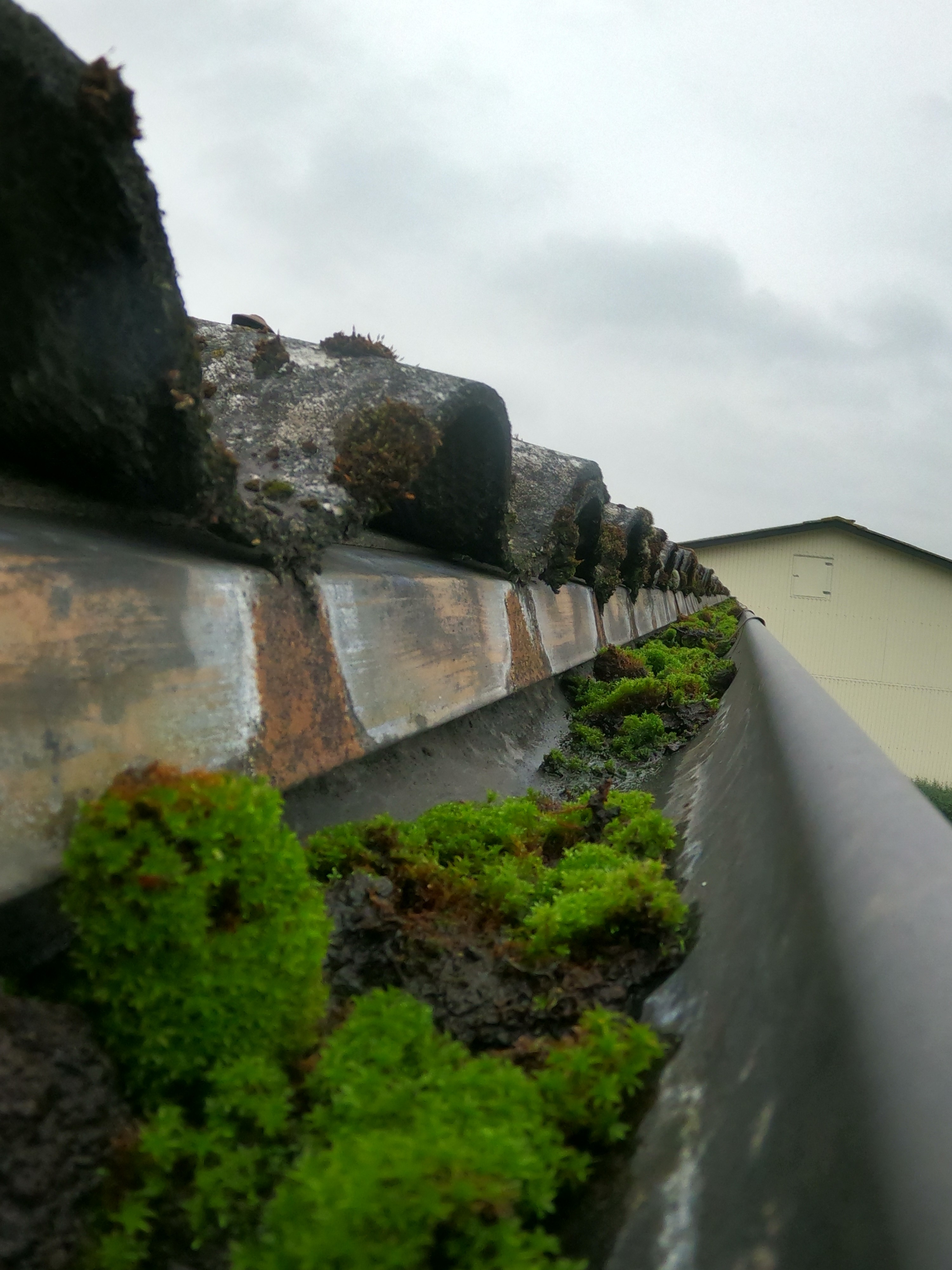 Aquafix, Rensa hängrännor i Stockholm