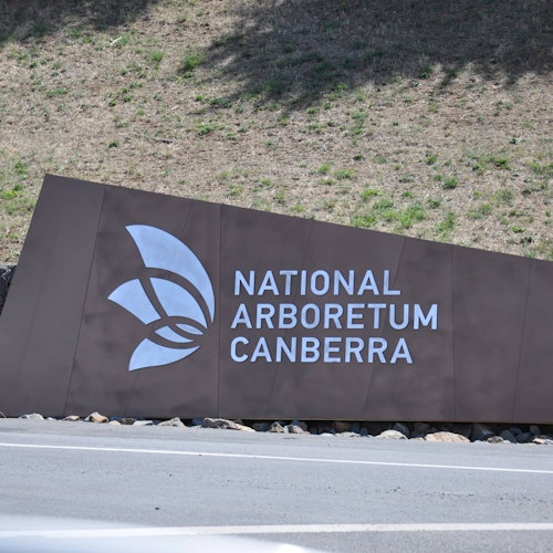 坎培拉花卉節之旅