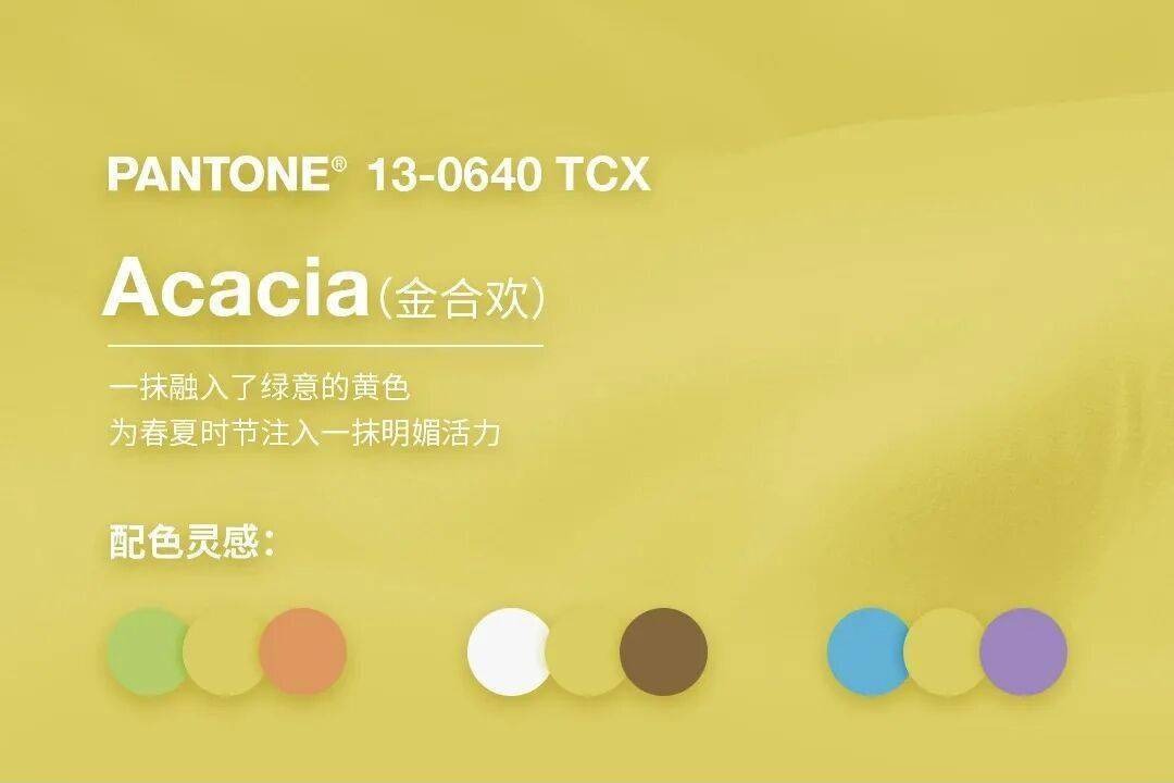 UI / 平面 / 室内 / 时尚全领域应用指南