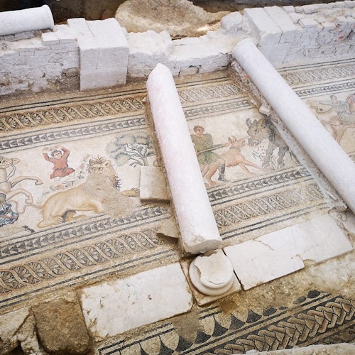 Billetter til guidet tur fra Granada til Villa Romana de Salar