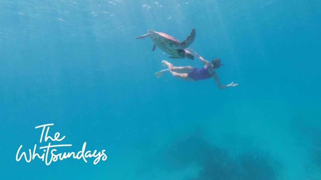 The Whitsundays Brand