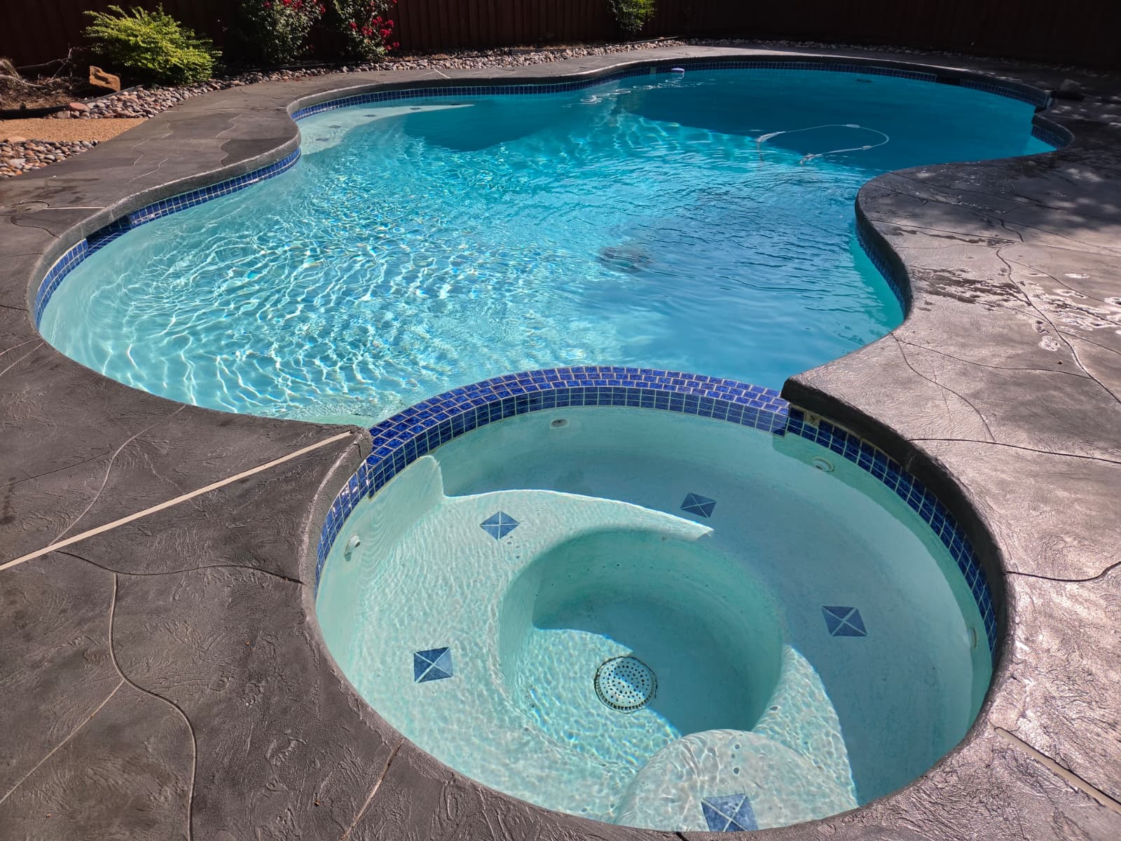 Luxury residential swimming pool at twilight with pool lights and landscaping