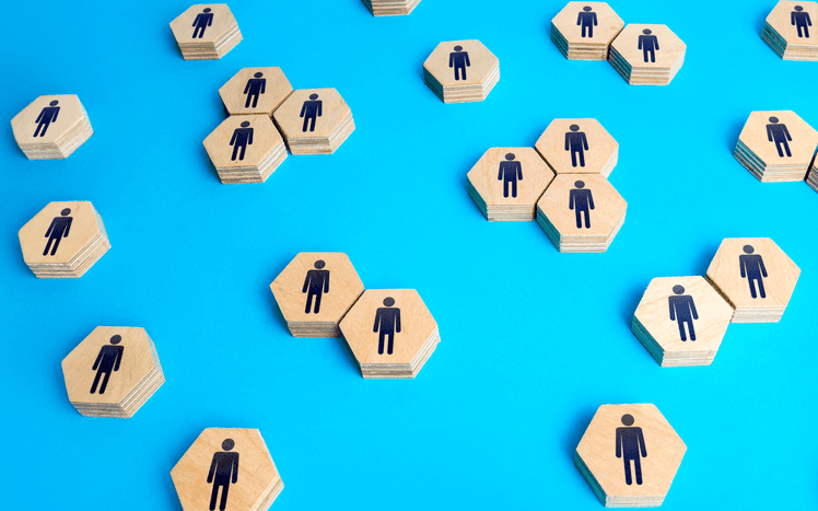 survey report demographics