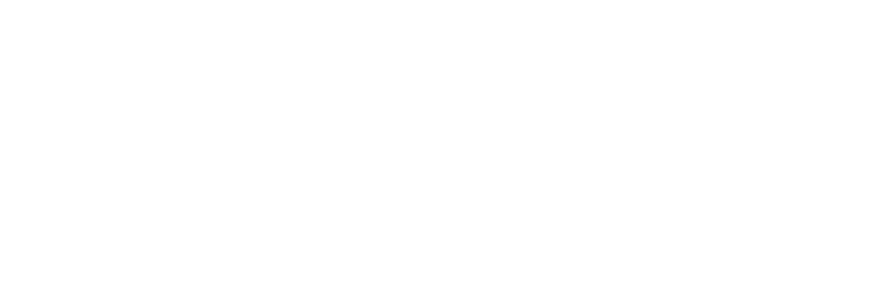 Finax logo