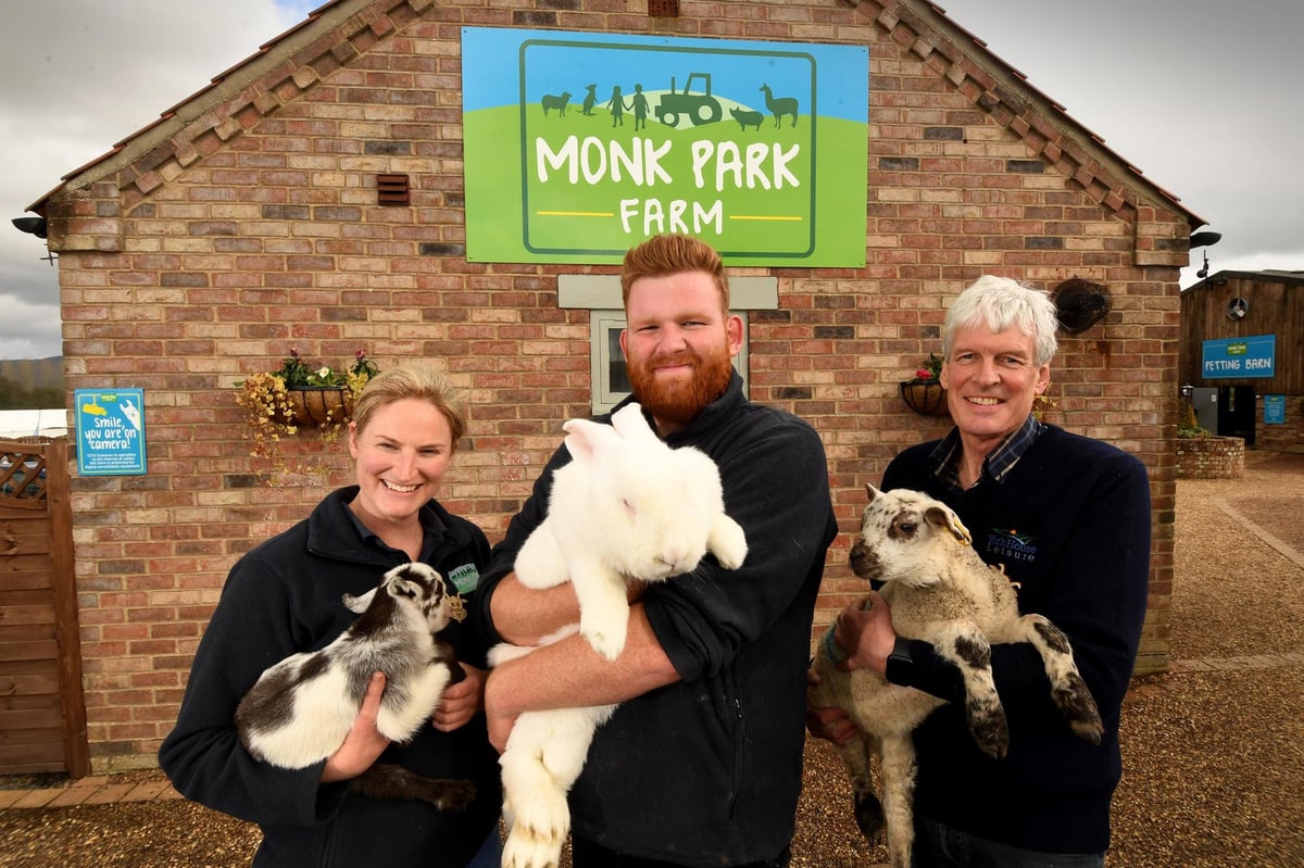 Visitors enjoying interactive farm experience with sheep at family-friendly petting zoo, rural tourism attraction