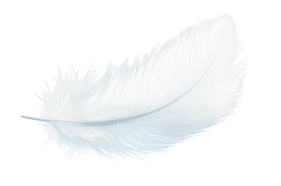 Feather