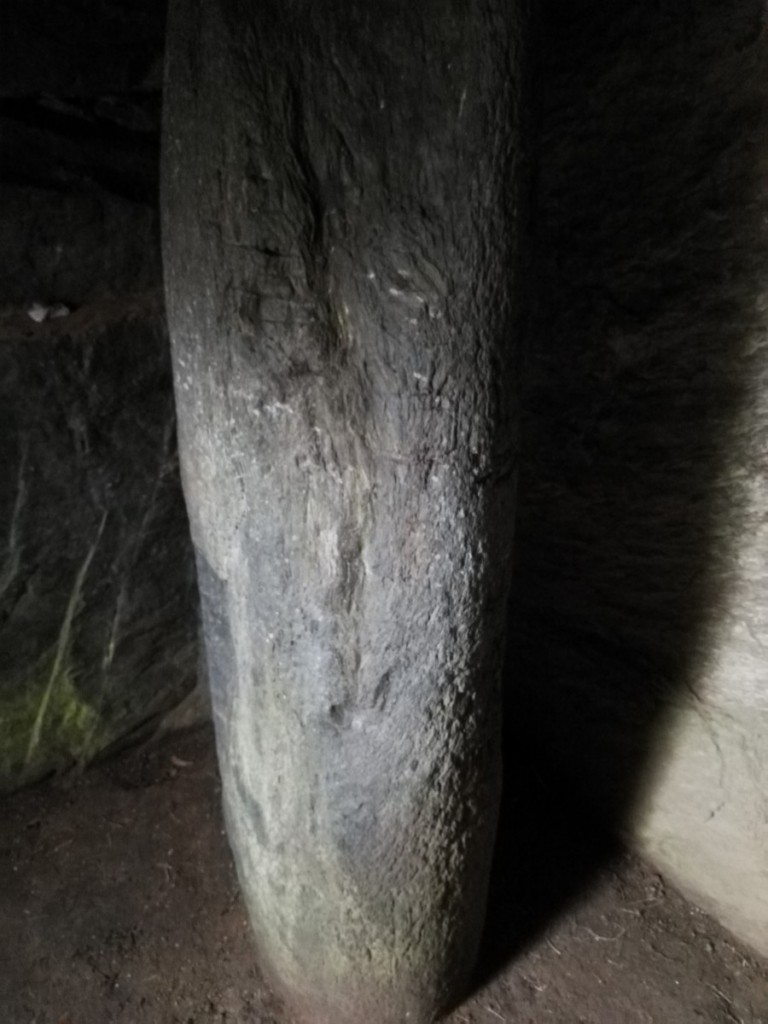 El túmulo del bosque oscuro