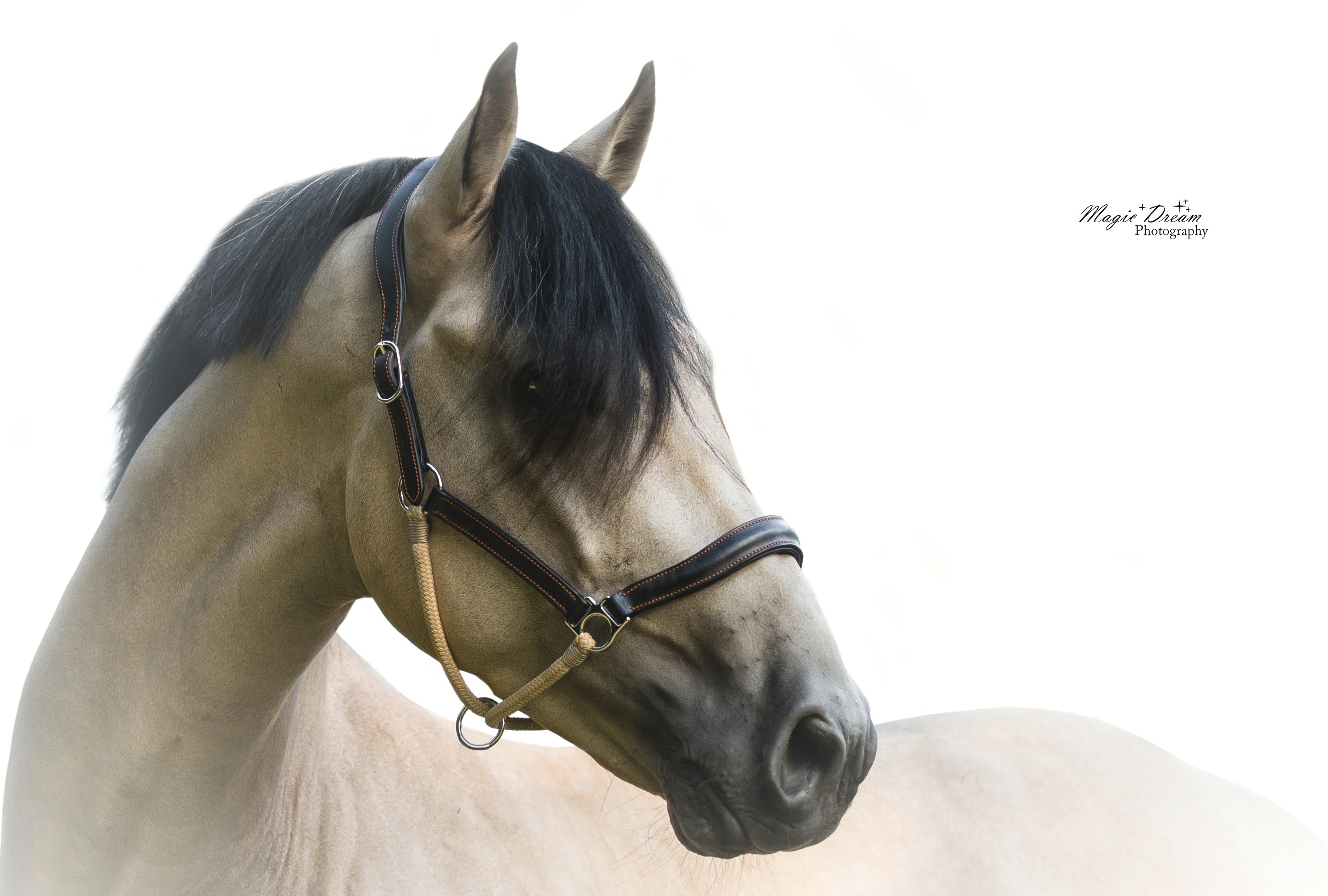 crossbred by Secret