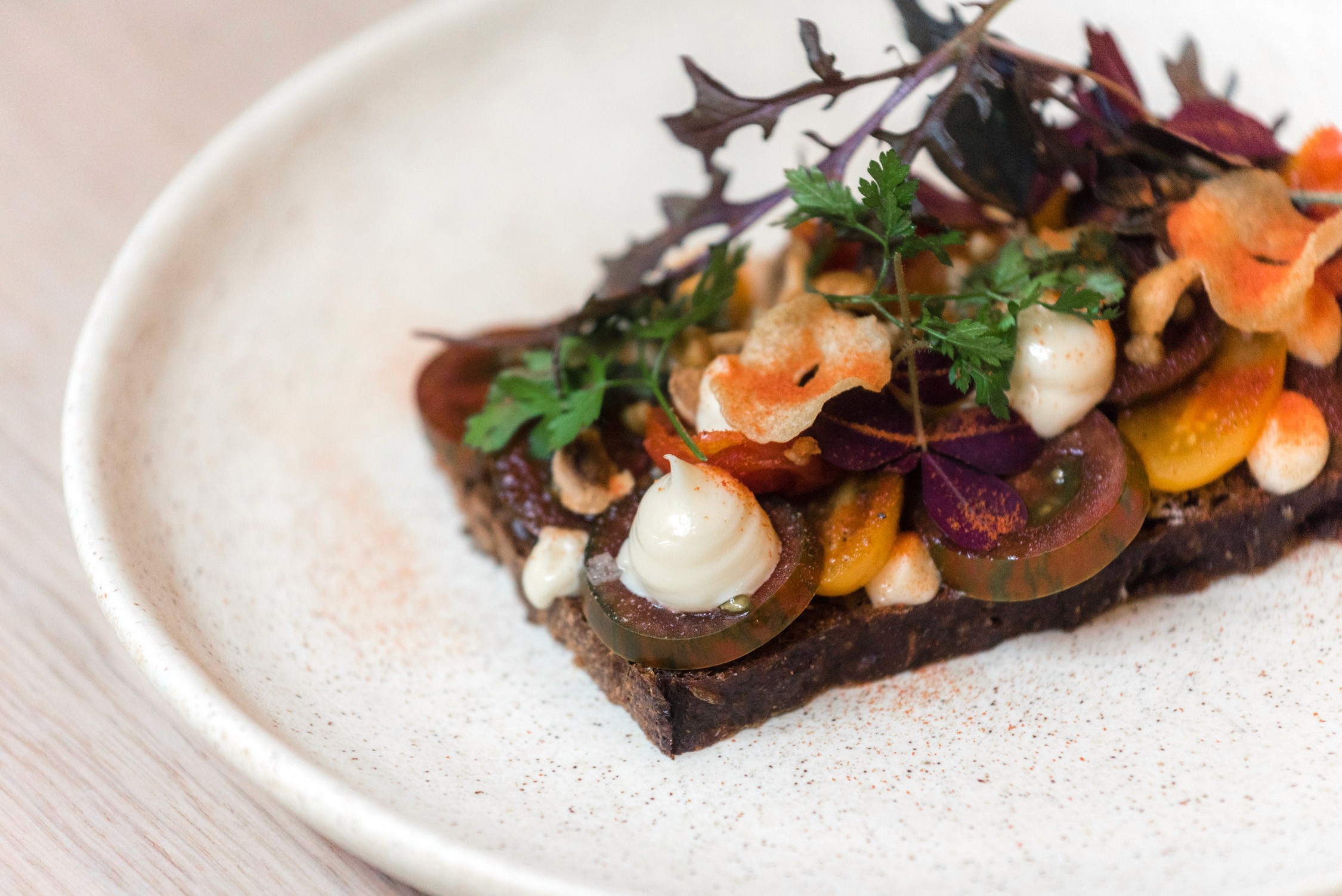 A gourmet open-faced sandwich on dark bread topped with sliced tomatoes, creamy dollops, greens, and microgreens.