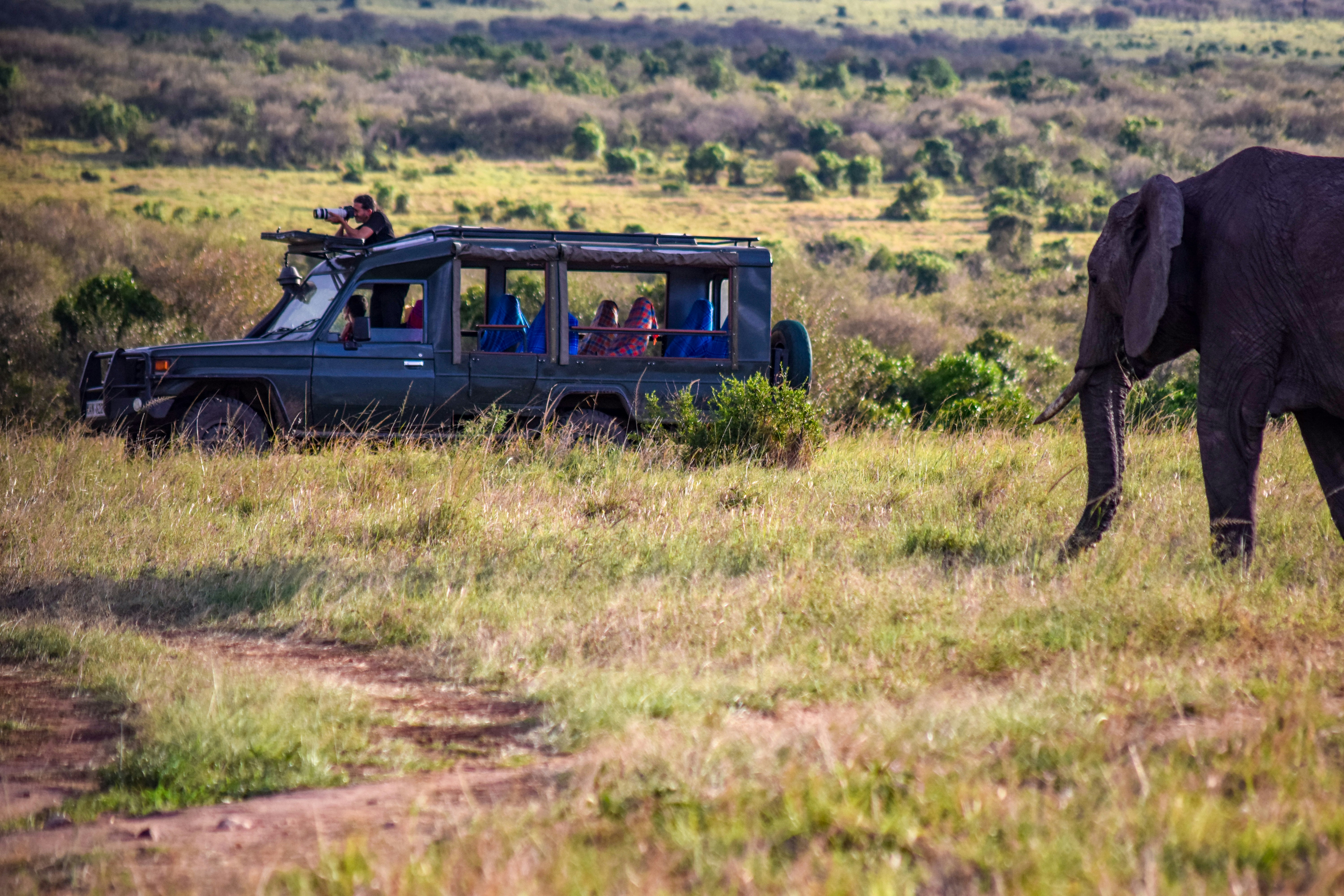 an elephant walking in a field next to a vehicle