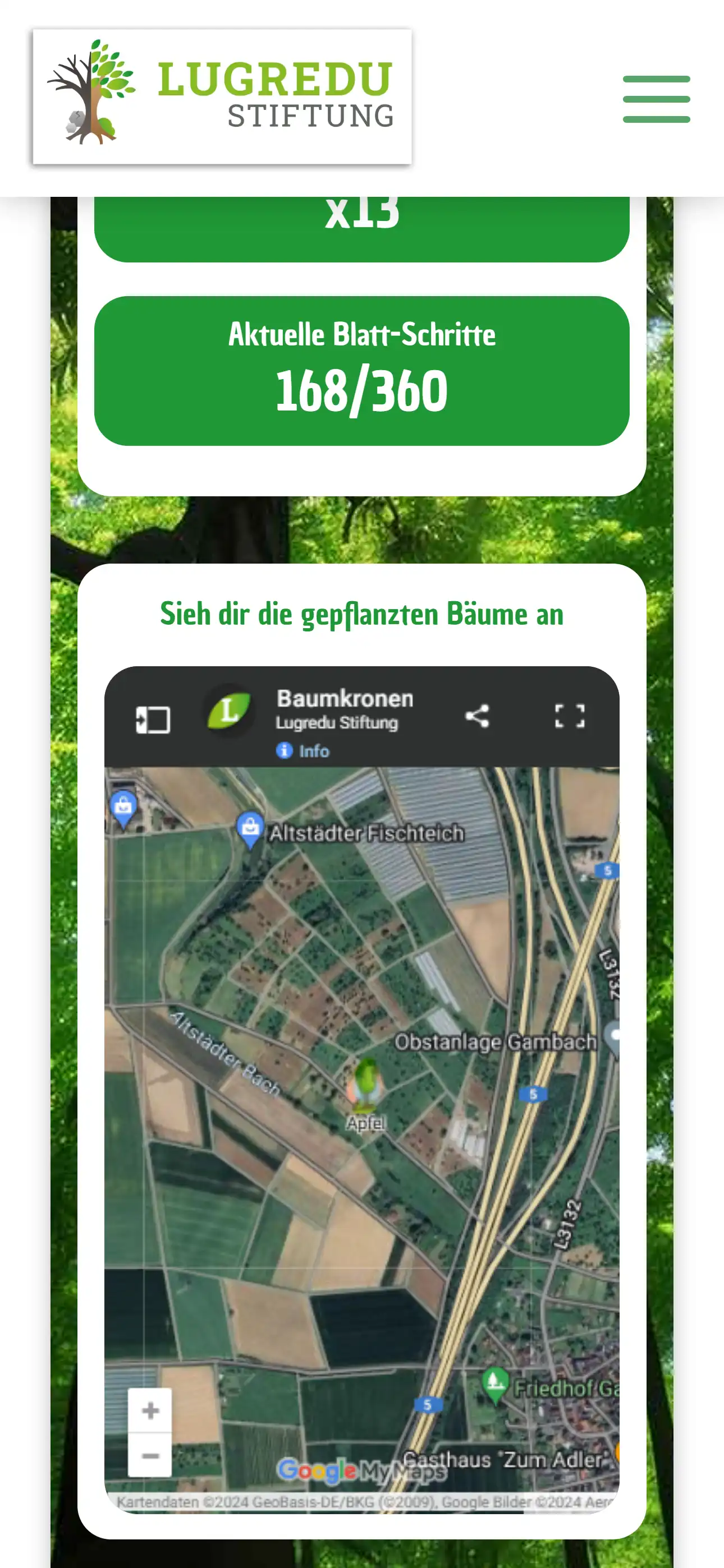 Screenshot der Karte, auf der man die gepflanzten Bäume der Lugredu Stiftung sieht.
