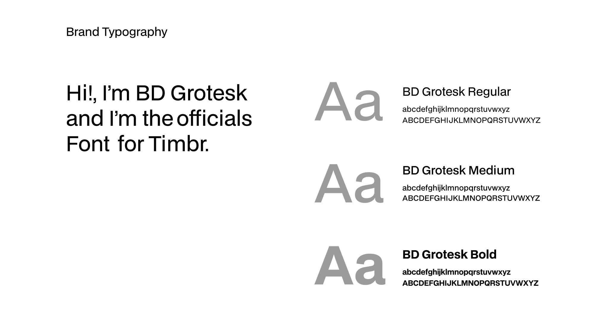 orbital website mockup 