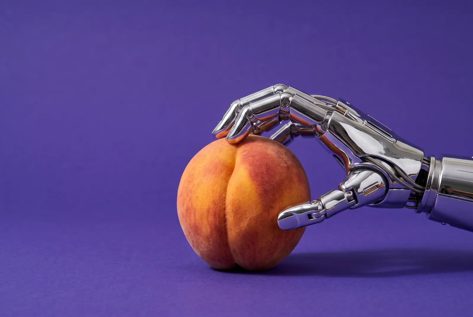 A chrome robot hand holding a ripe peach, a playful image for AI porn addiction and AI girlfriend apps