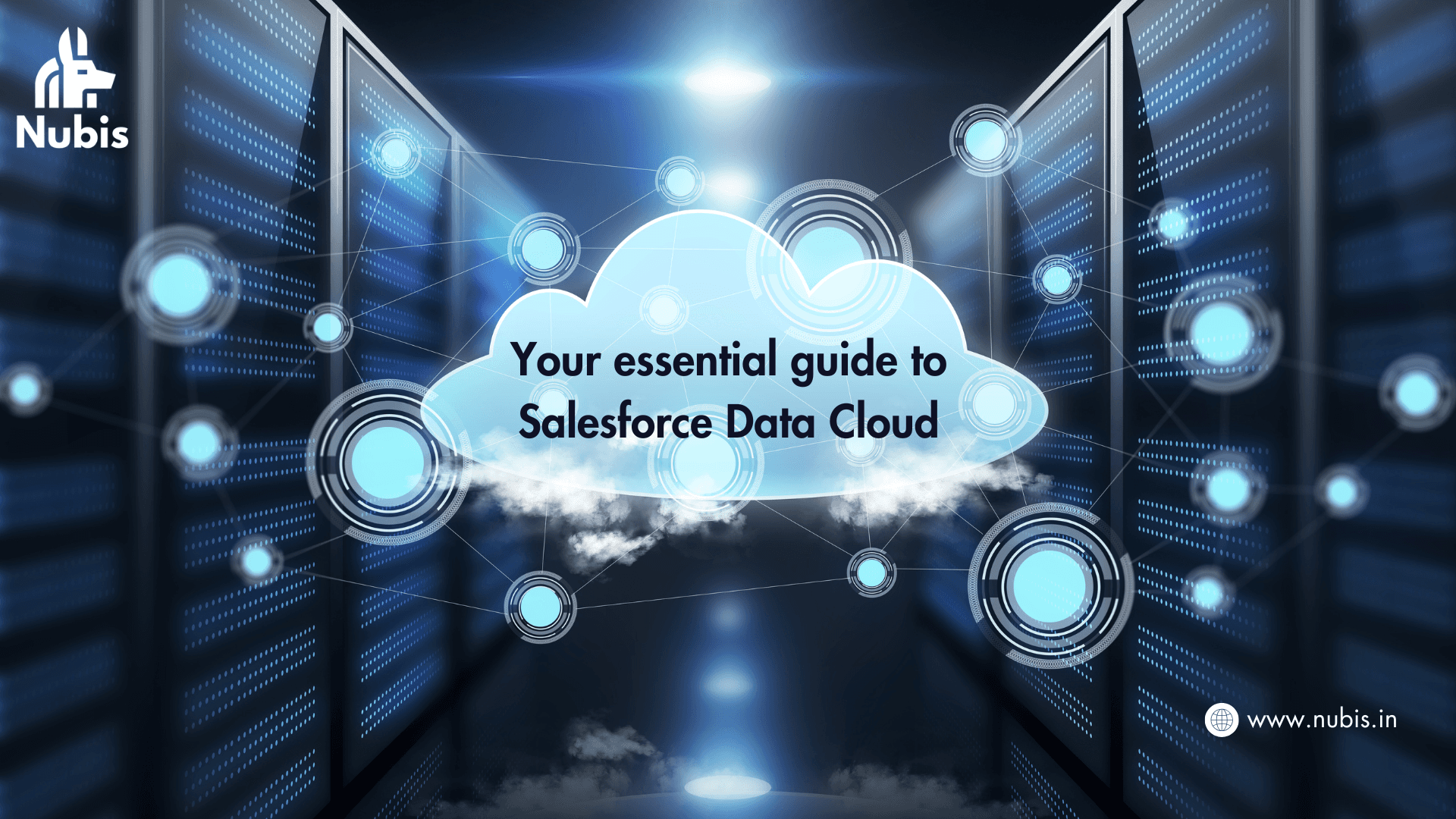 Visual showing insights and analytics generated with Data Cloud solutions