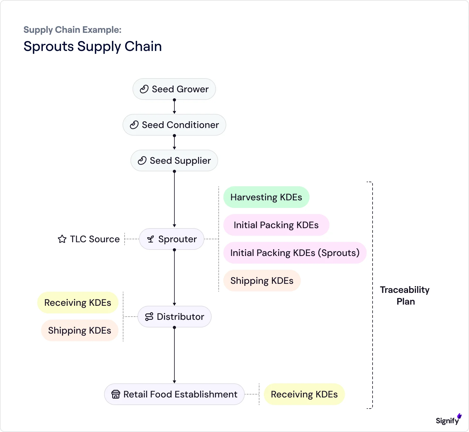 sprouts-supply-chain