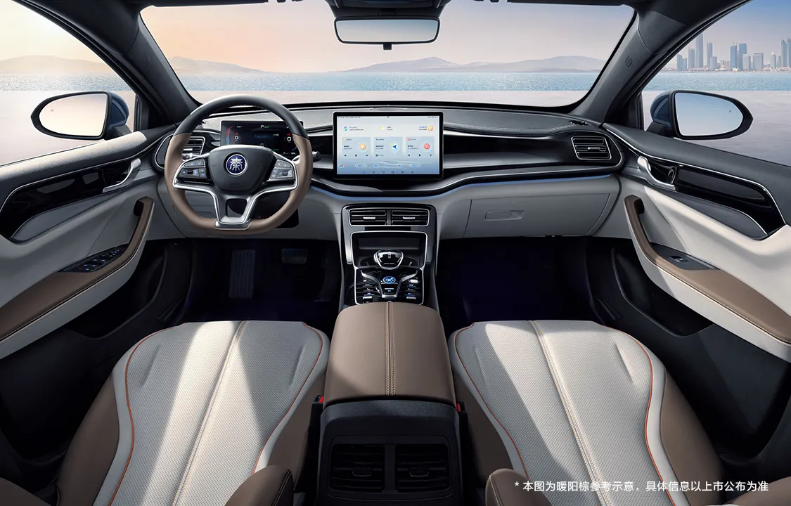 BYD Qin PLUS DM