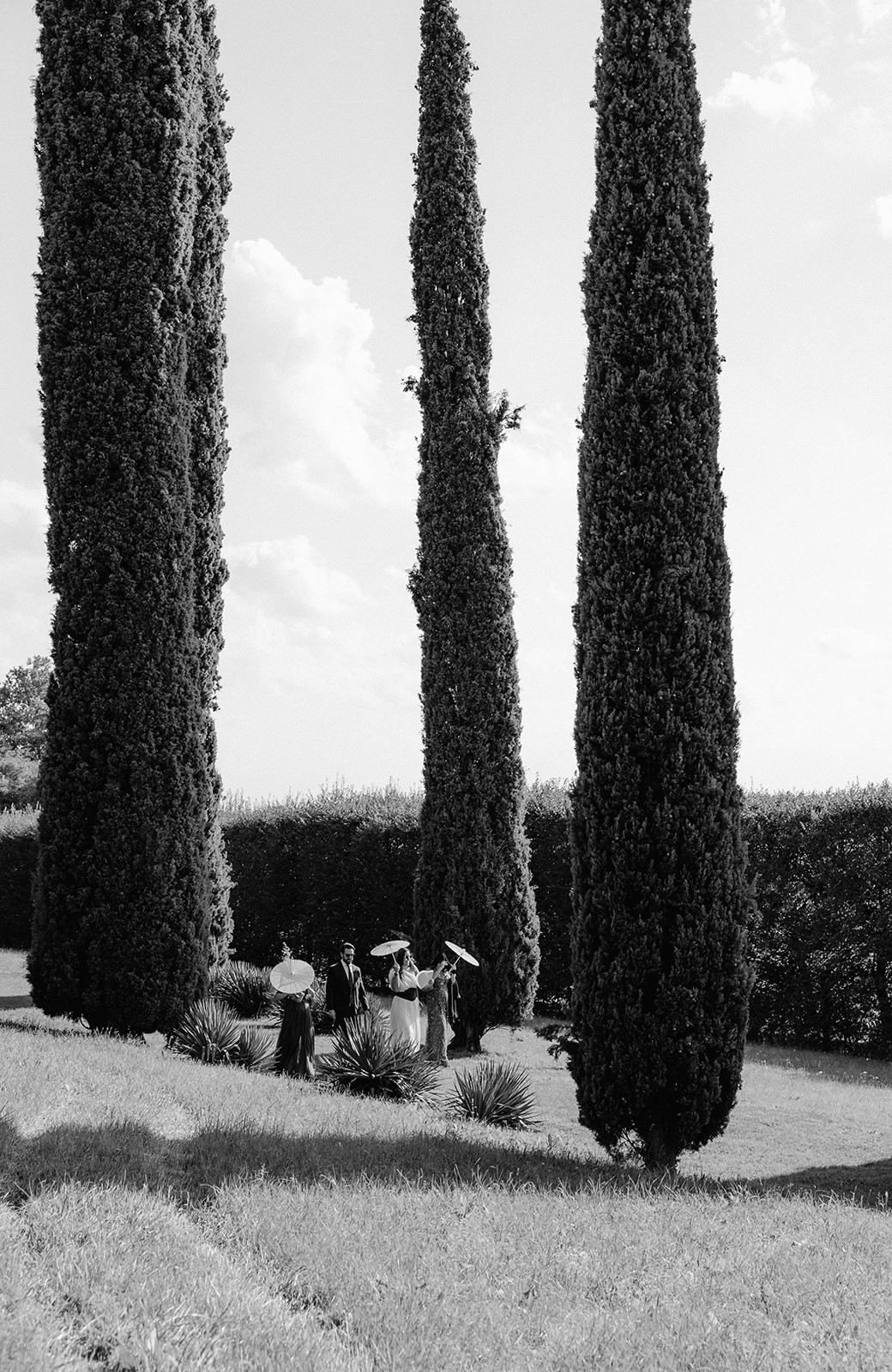 A scenic view of a garden with neatly trimmed hedges and trees, featuring a modern building in the background.