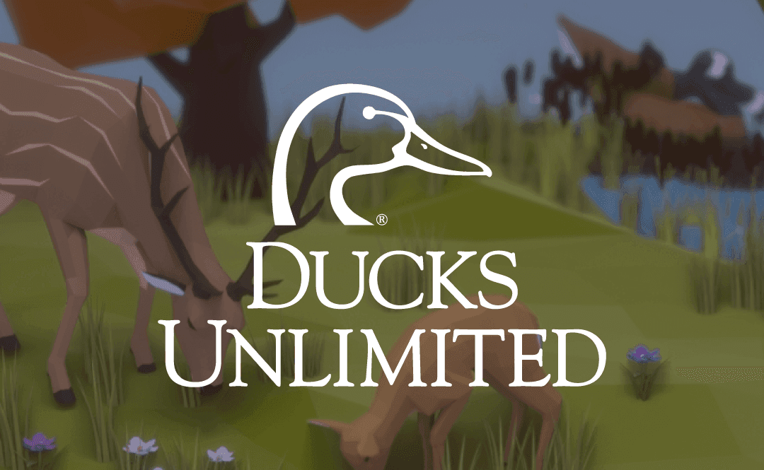 Ducks Logo on background of animation