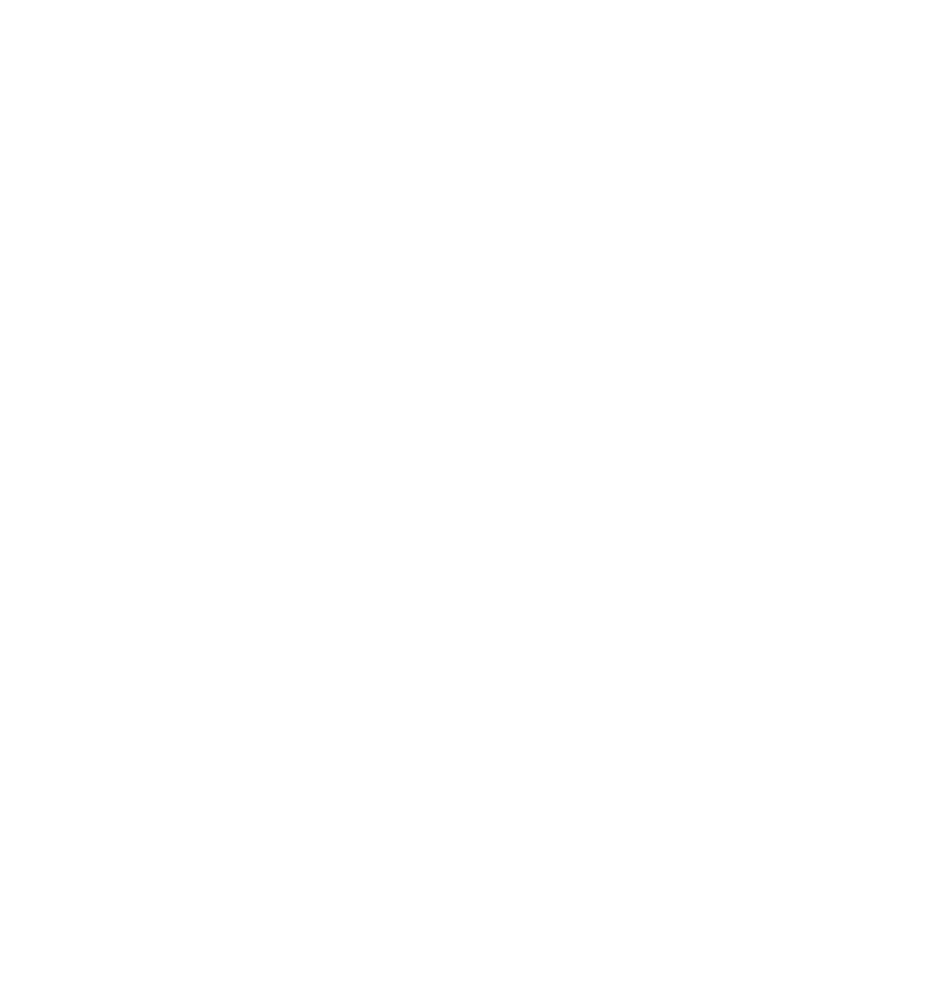 Connect logo