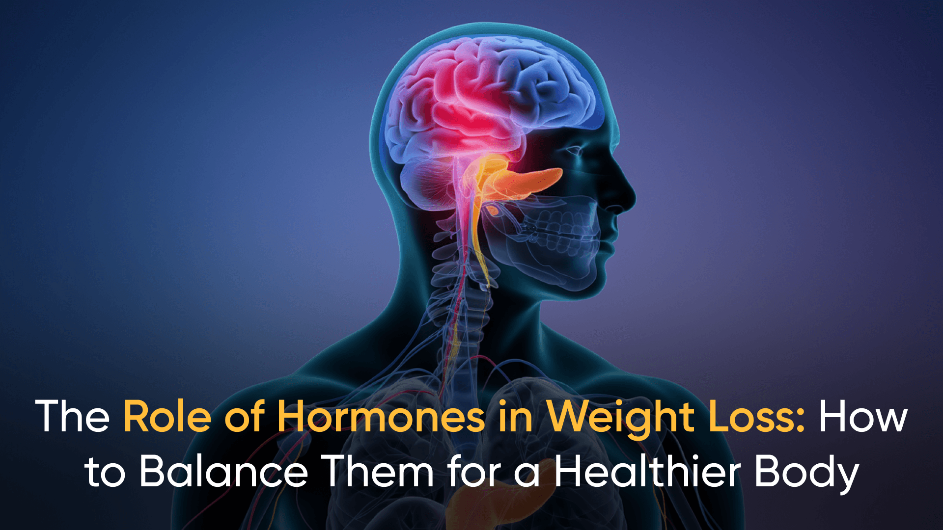 Illustration highlighting the role of hormones in weight loss and tips on balancing them for a healthier body.