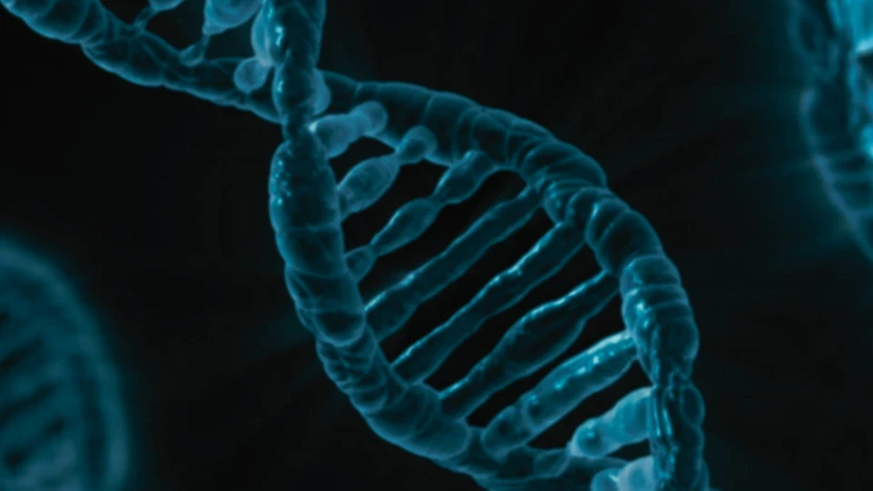 dna strand up close