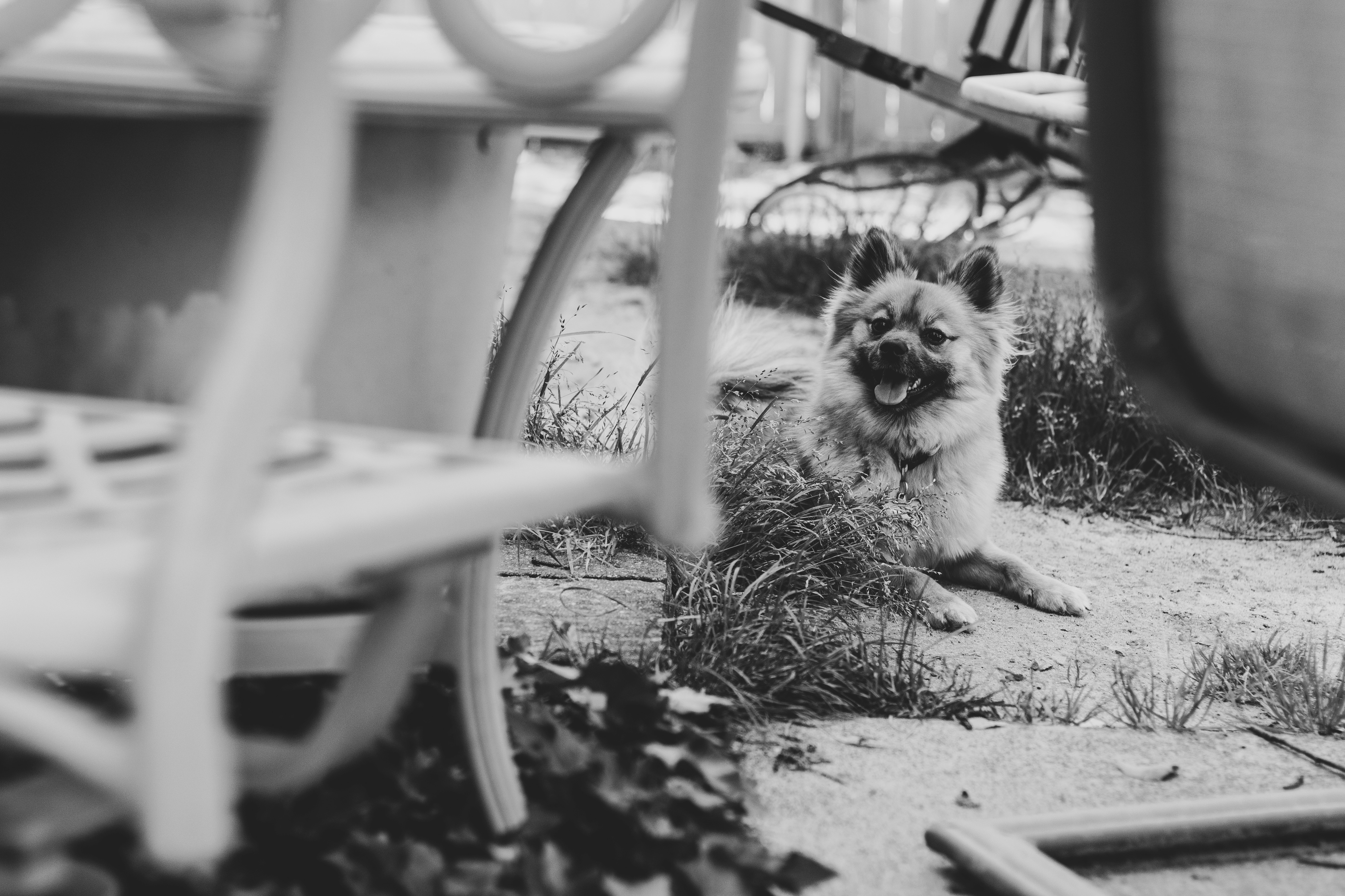 low angle photography of building