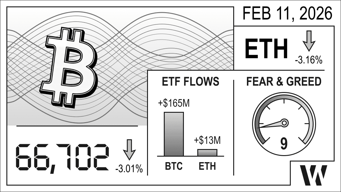 Feb 11, 2026 crypto snapshot – Bitcoin at 66,702 (–3.01%), Ethereum down –3.16%; ETF flows positive: BTC +$165M, ETH +$13M; Fear & Greed Index 9 (extreme fear). 