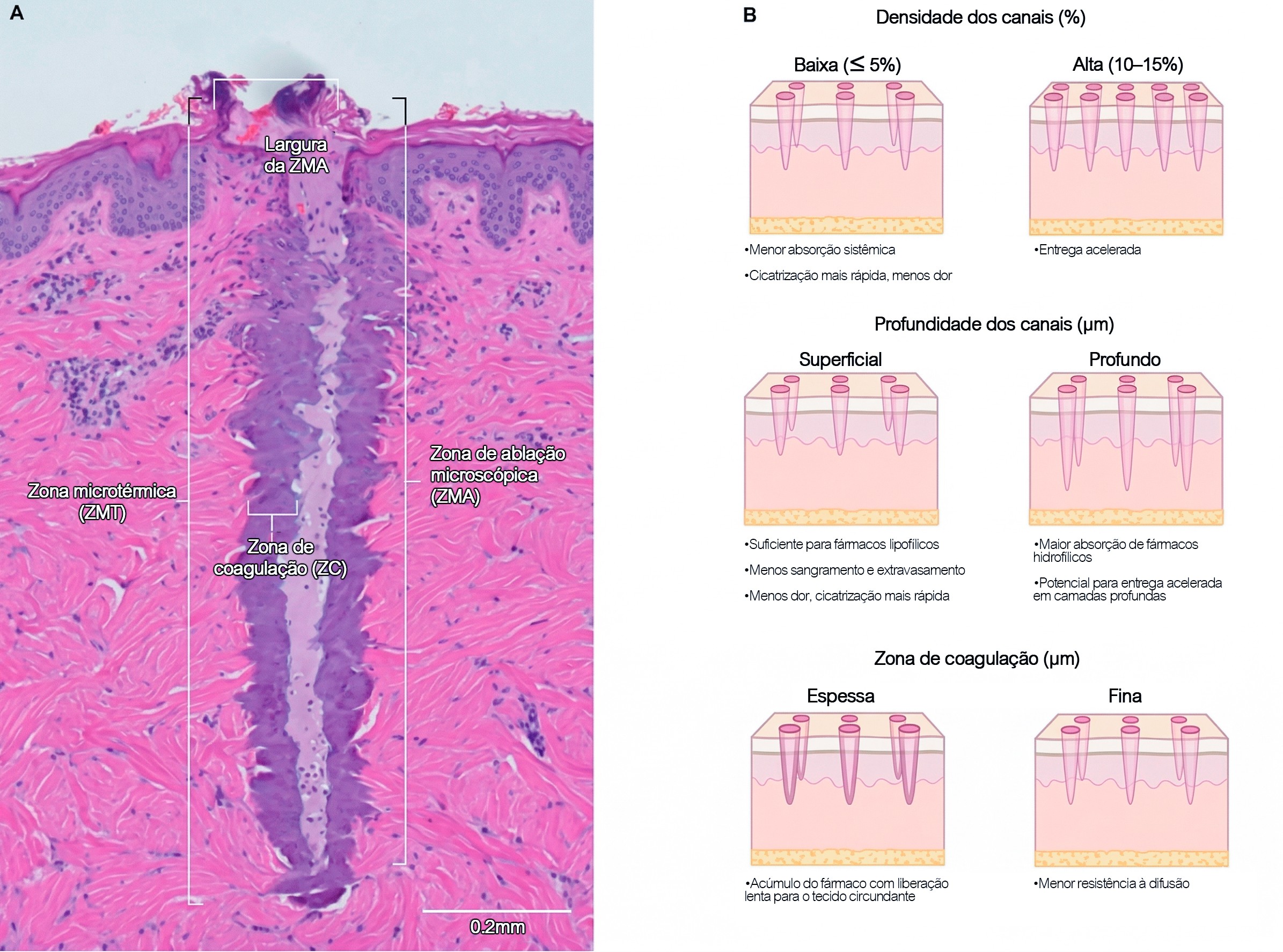 An image of Freelio's project ui