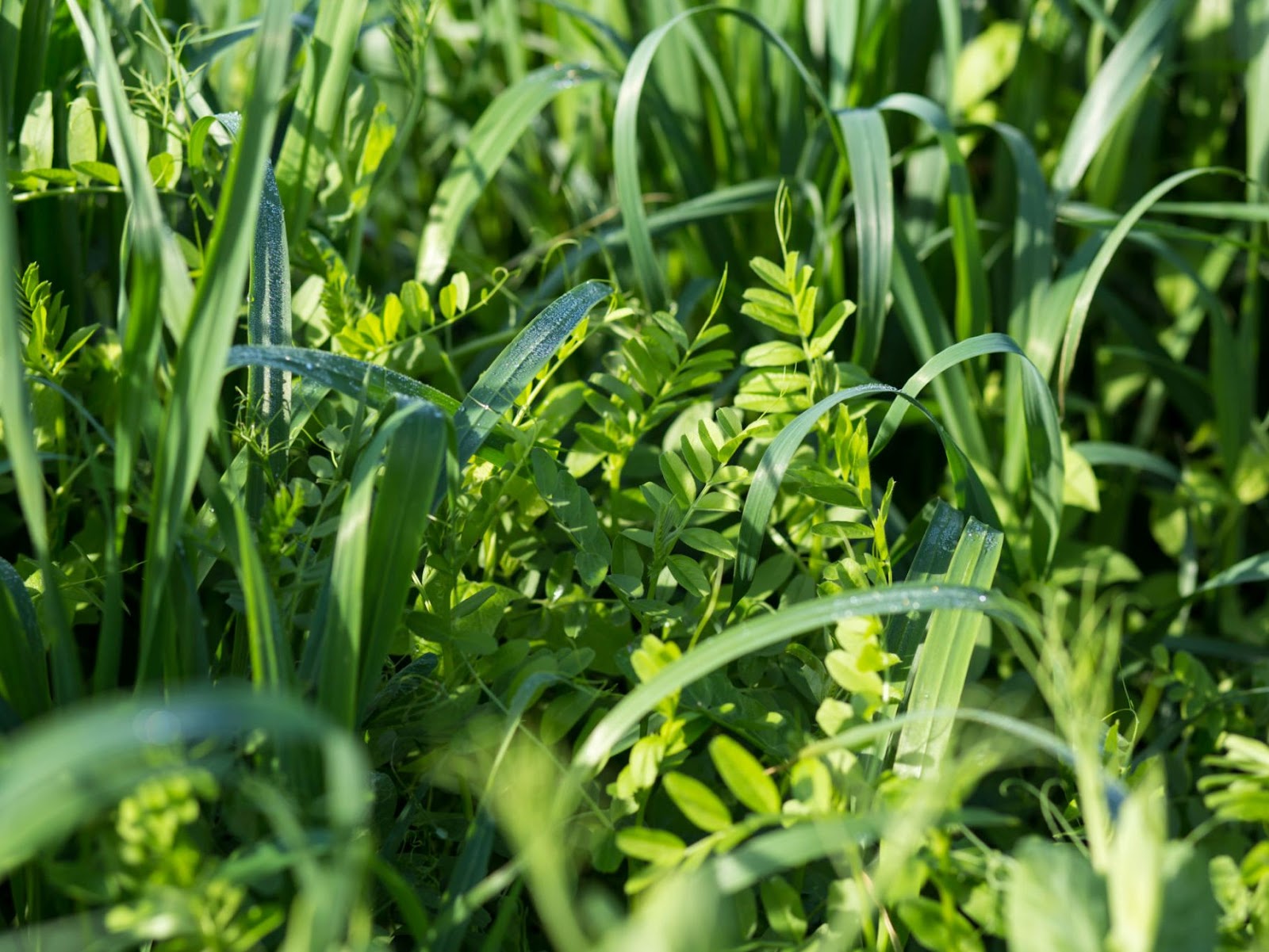 Smiling young woman with long hair standing against a dark green background, holding a finger to her chin.