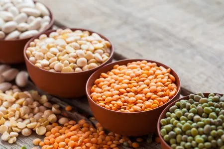 many varities of lentils