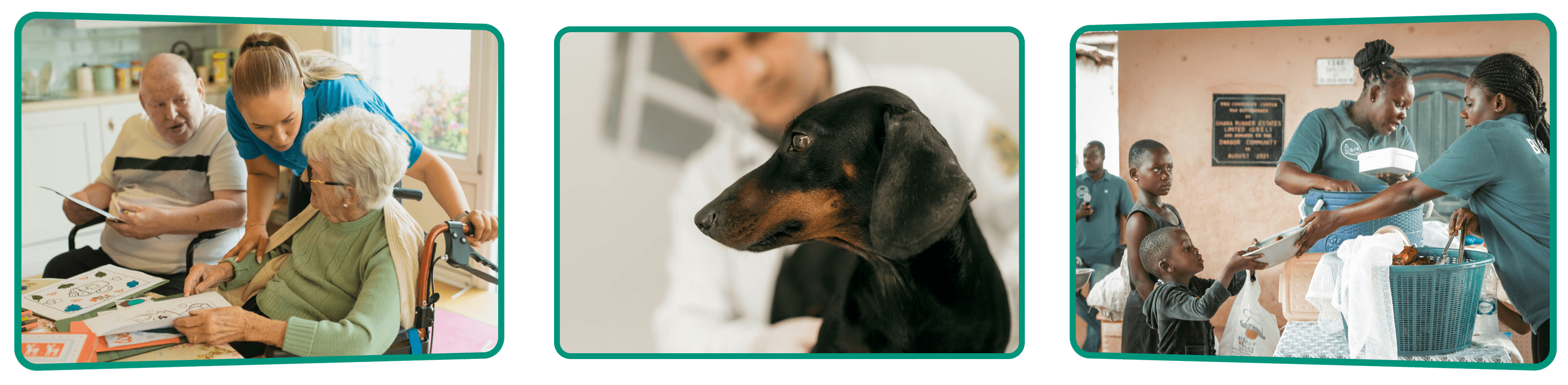 A veterinarian examines a black and tan dachshund