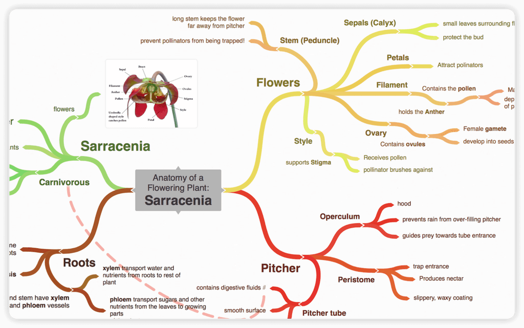 10 AI-Powered Mind Map Generators You Need to Try in 2025