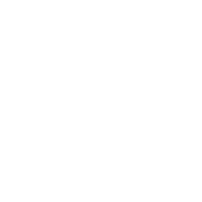 Lead forms