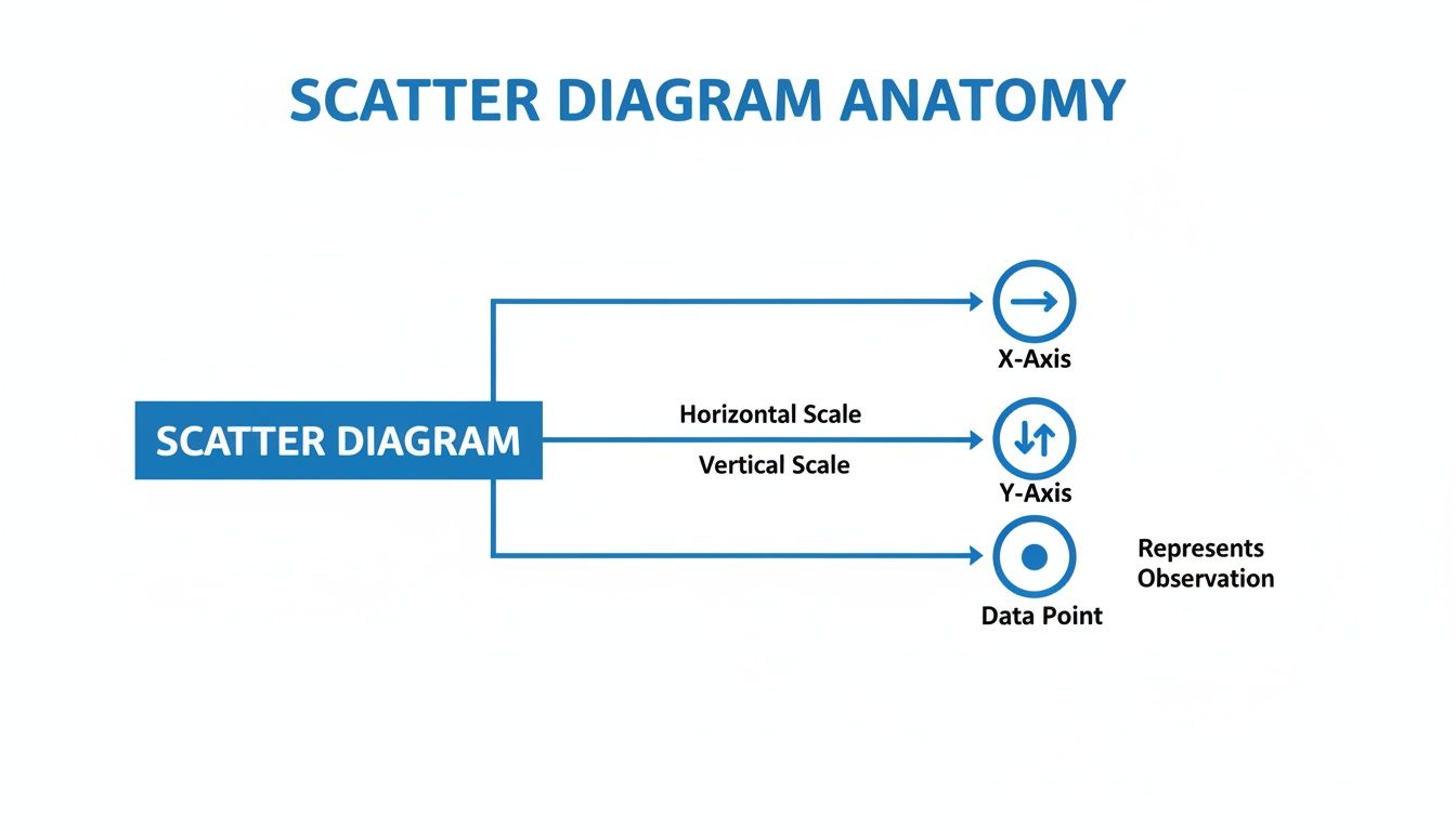 A diagram illustrating the anatomy of a scatter diagram, showing its X-axis, Y-axis, and data points representing observations.
