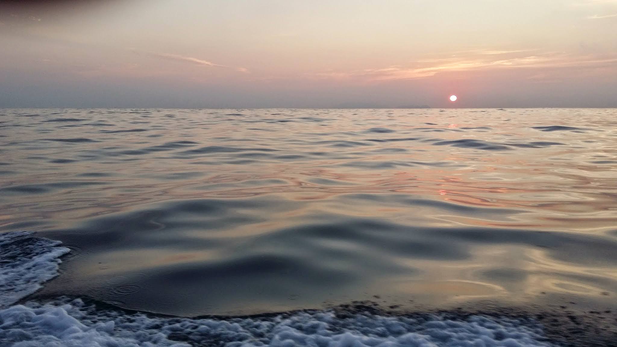 people sitting on chair in front of laptop computers