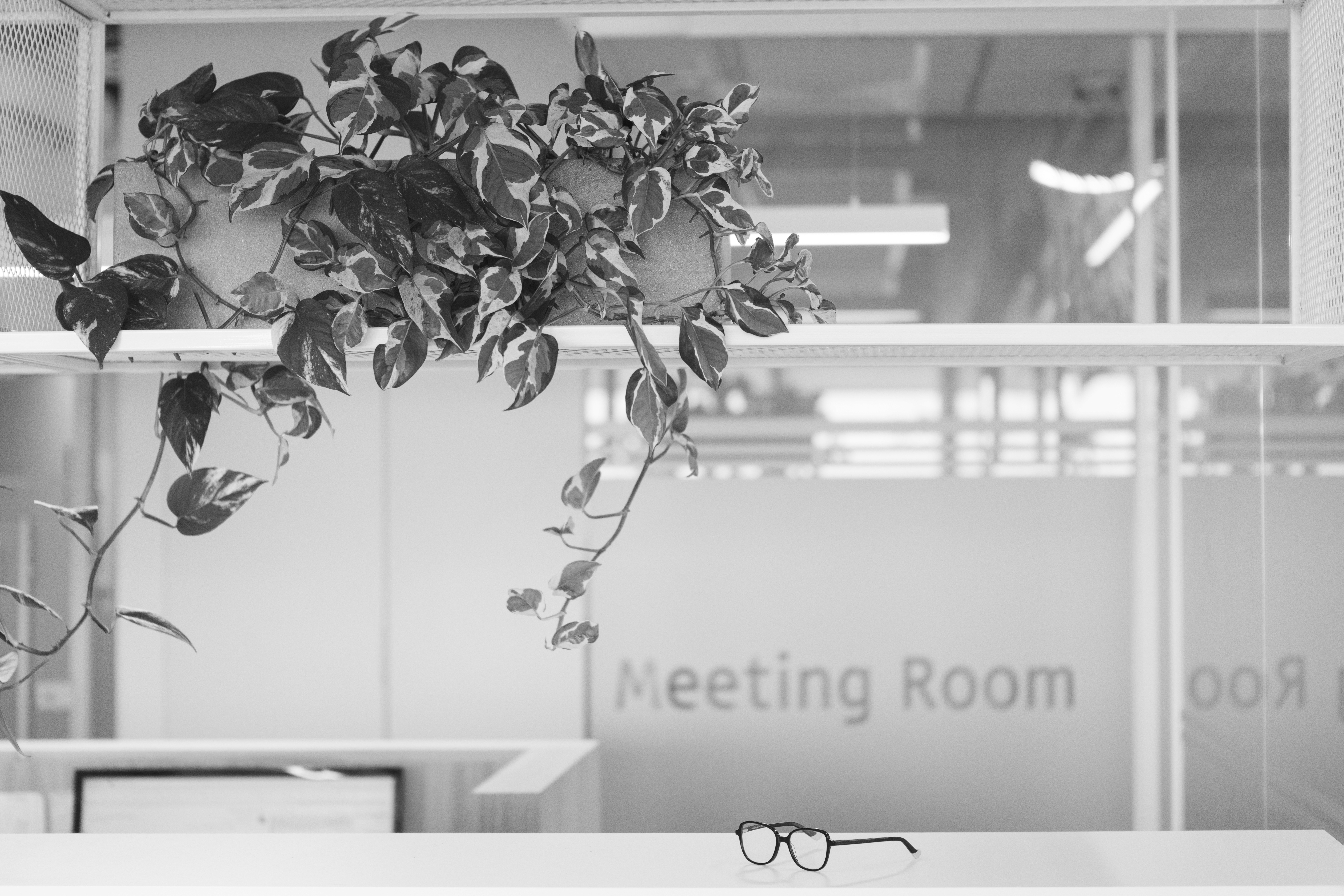 שולחן המזכירות המשקיף לחדר הישיבות שברקע צמחייה