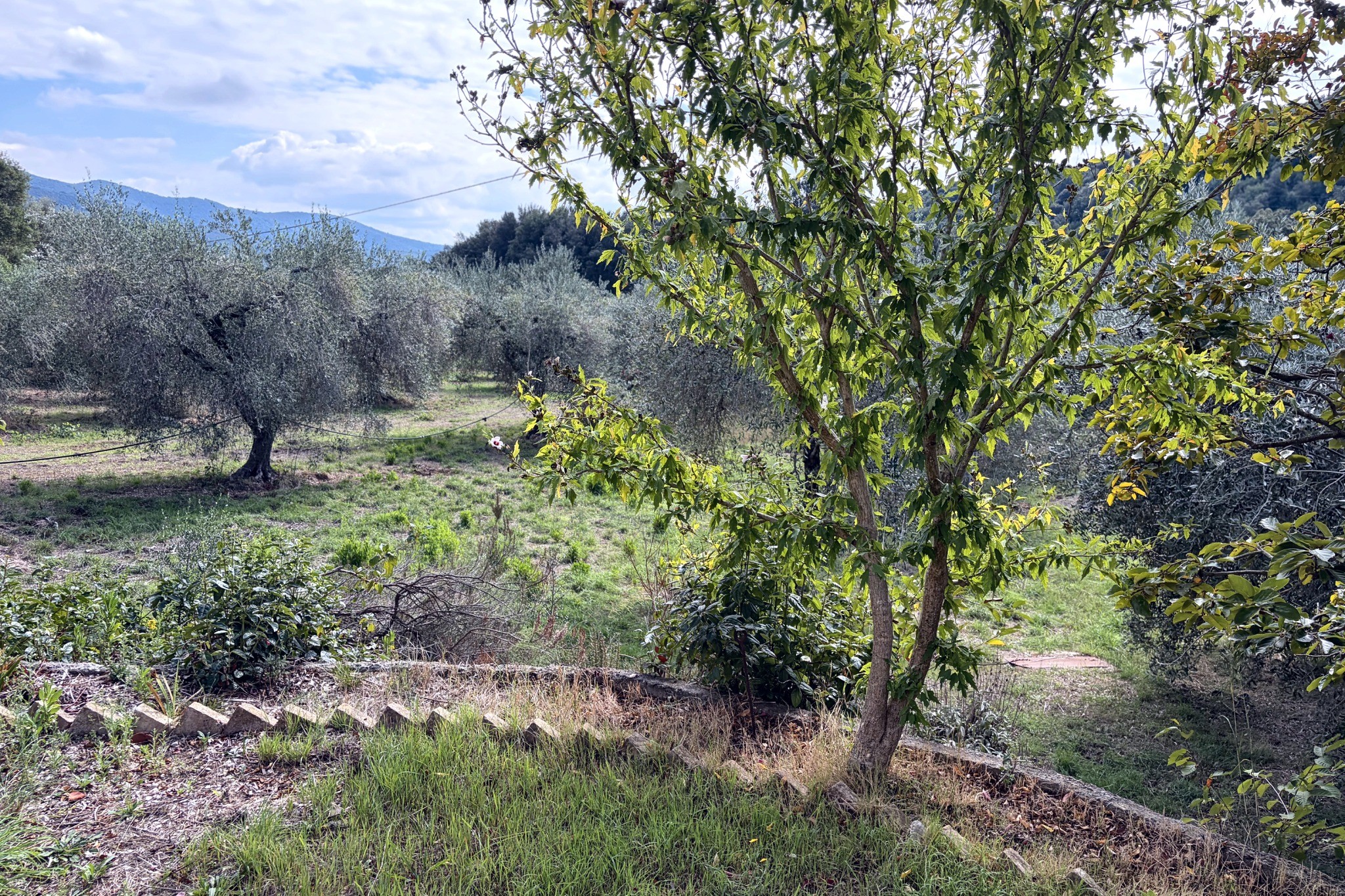 Casale Vista Provenza, Roccatederighi, Maremma Toscana