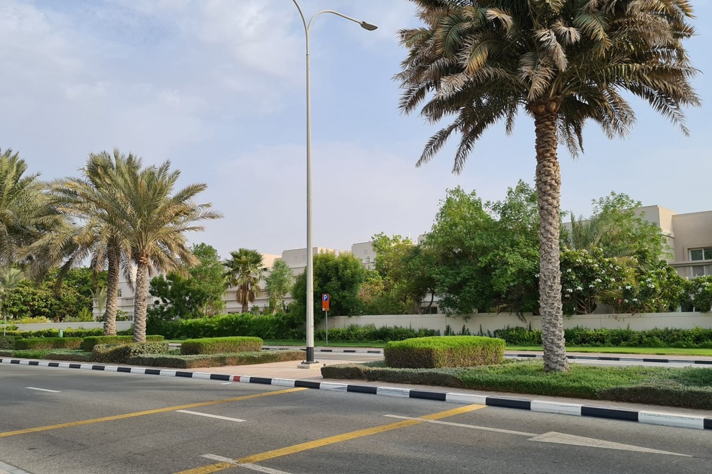 A view of the roads leading to Cedre Villas, lined with greenery and residential buildings in a serene environment.