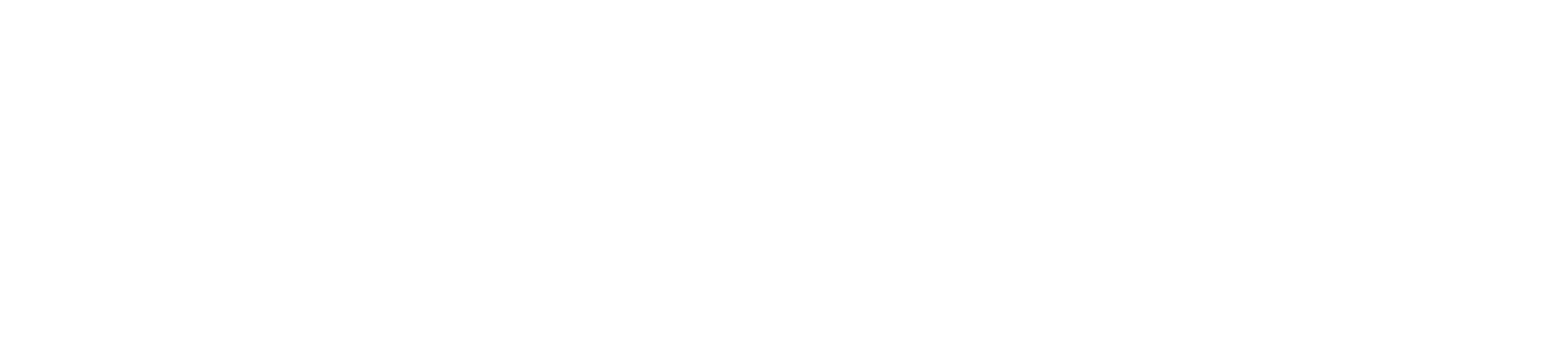 SmartWinnr - Logo