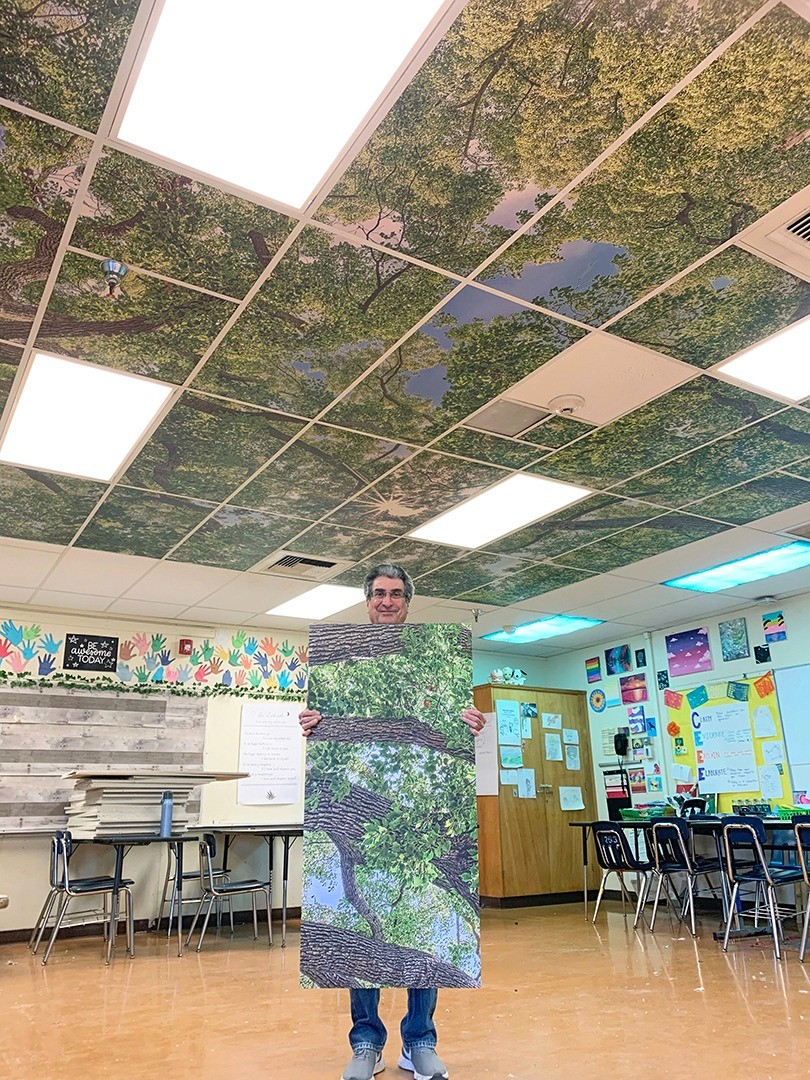 A person stands in a classroom holding a large panel resembling an overhead tree canopy, matching the ceiling's forest motif. The room feels vibrant and creative.