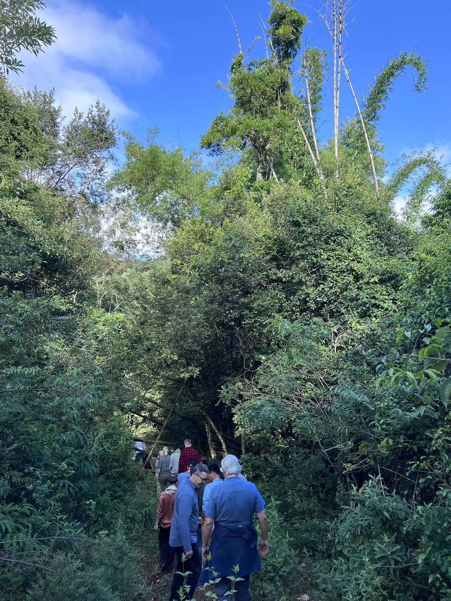 Eventos no Jardim Botânico Arariba