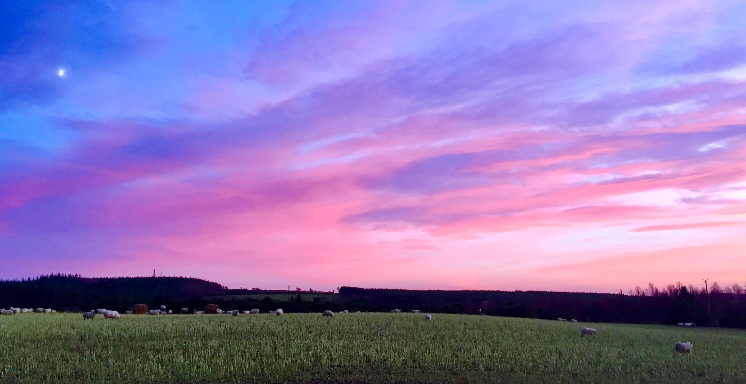 Gorgeour purple sunset